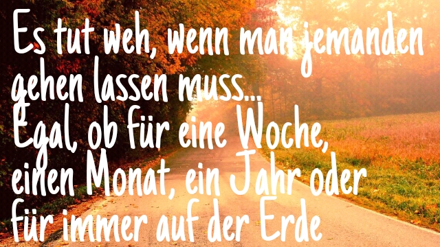 Fehlst bilder du mir so PDF Du